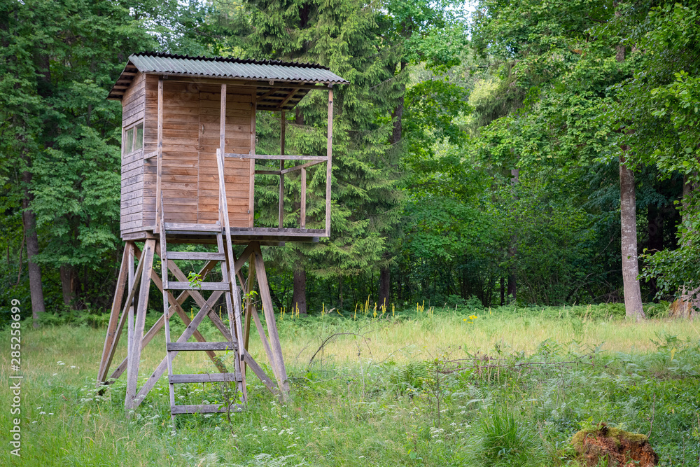 Hunters hut in the forest by the road. Hunter tower or watch post in the wilderness. Hunter post is a wooden structure to watch and shoot at wild animals Hunters hut in the forest by the road. Hunter tower or watch post in the wilderness. Hunter post is a wooden structure to watch and shoot at wild animals