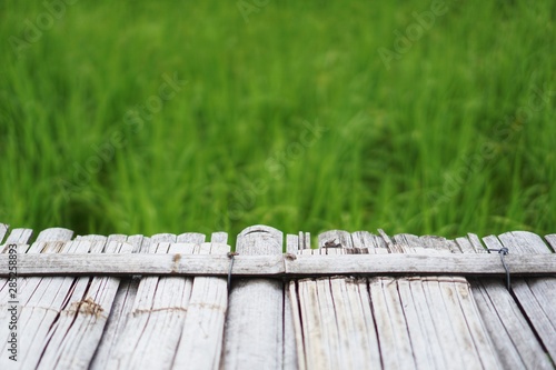 Bamboo bridge on the rice field. 