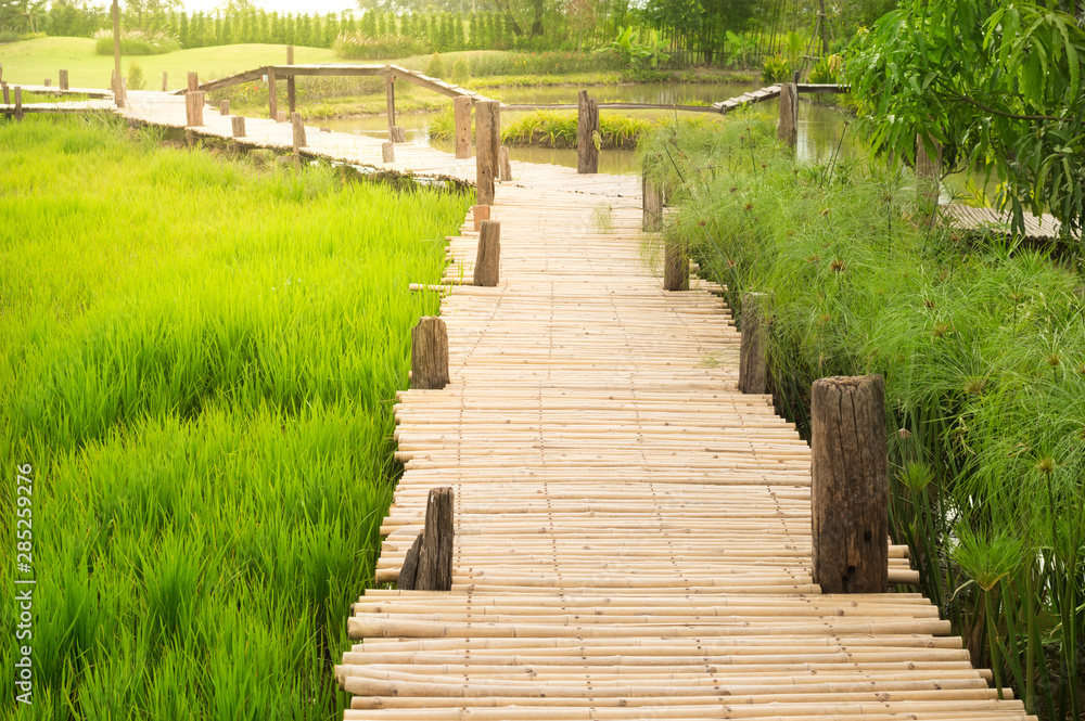 Wooden path way over meadow.