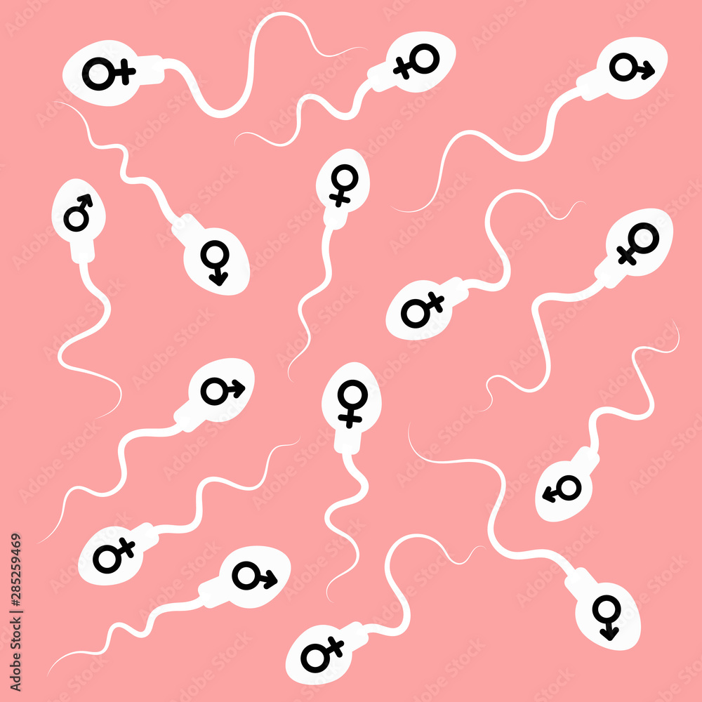 sperm and egg. vector illustration