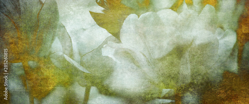 Tulpen Trauer Karte Papier Konzept