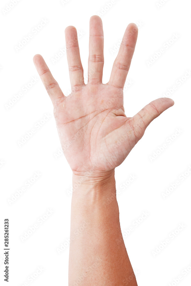 Male asian hand gestures isolated over the white background. SET 1-5 Male asian hand gestures isolated over the white background. SET 1-5