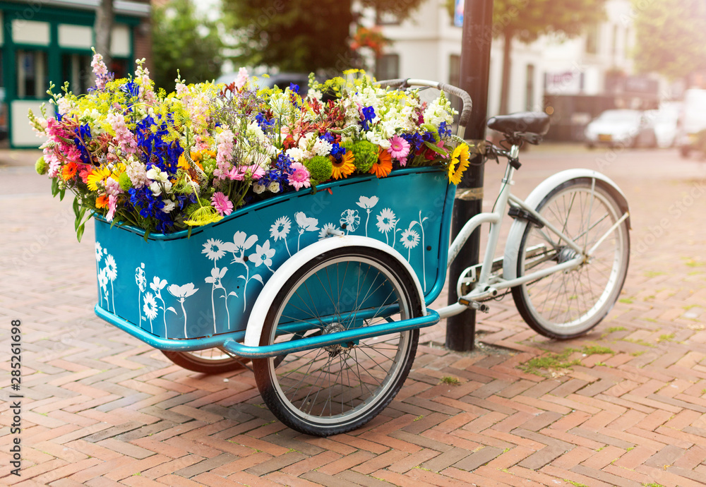 Cargo bike with flowers, Holland, Europe