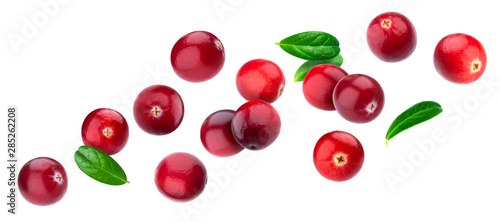 Cranberry isolated on white background with clipping path photo