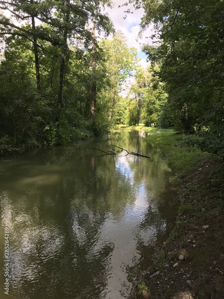 green river, green trees green river, green trees