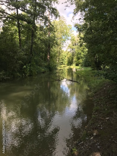 green river, green trees