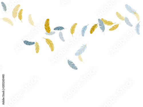 Detailed majestic feather on white design.