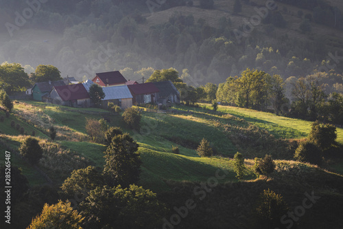 Summer landscape in the romanian village