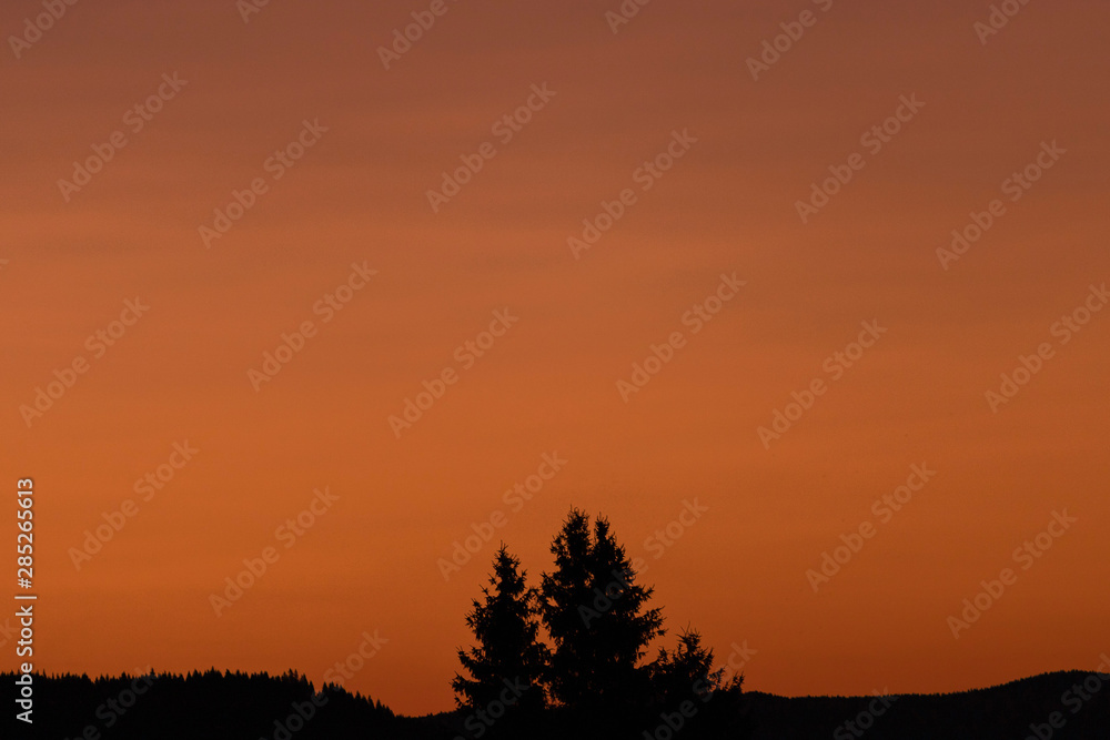 summer sunrise silhouettes of trees on an orange sky background