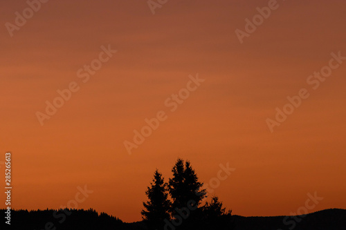 summer sunrise silhouettes of trees on an orange sky background