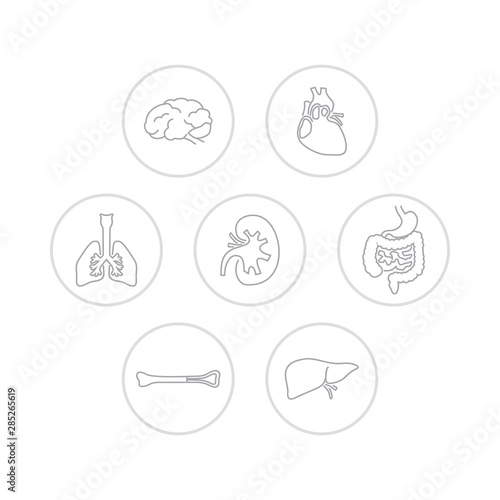 Set of icons of human organs