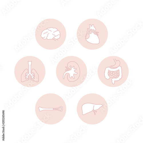 Set of icons of human organs