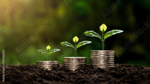 Small plants that are on stacked coins and ideas for saving money and starting a business