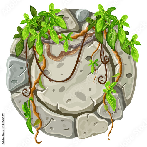 Stone board decoration liana branches and tropical leaves. Isolated vector cartoon circle frame with space for text on white background.