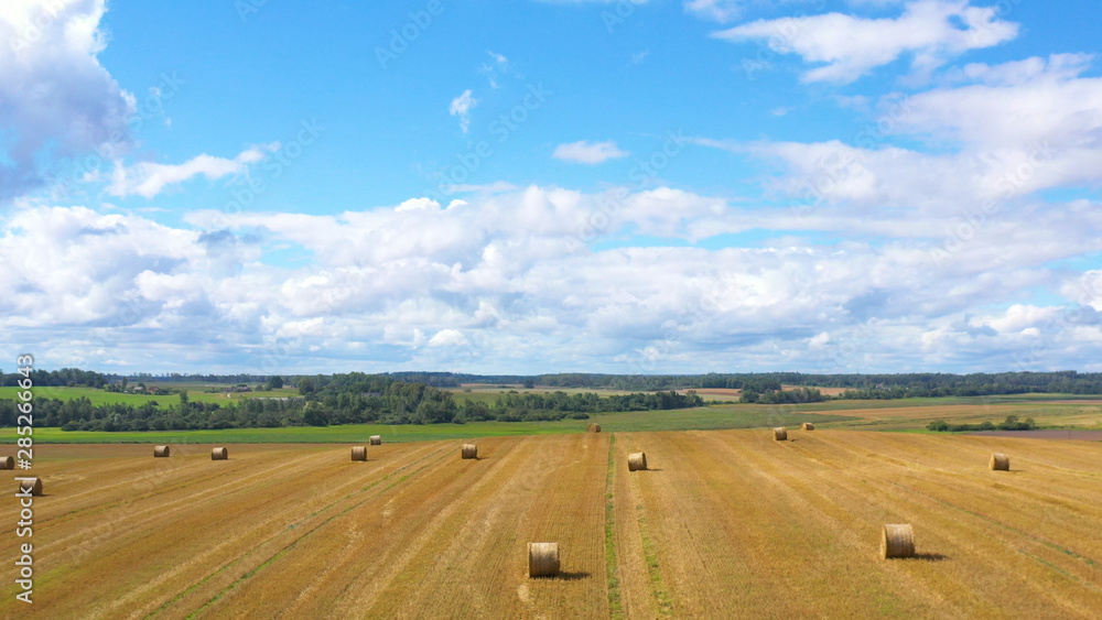 Aerial Drone view of Hay Rolls in the Wheat Field, Surrounded with Forests - Sunny Summer Day, Vintage Look Edit.