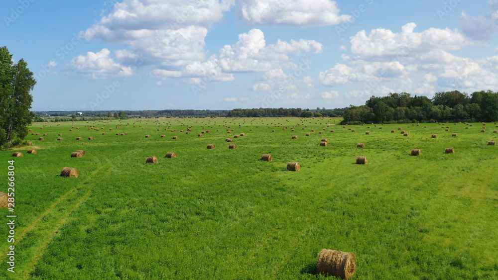 Aerial Drone view of Hay Rolls in the Wheat Field, Surrounded with Forests - Sunny Summer Day, Vintage Look Edit. Aerial Drone view of Hay Rolls in the Wheat Field, Surrounded with Forests - Sunny Summer Day, Vintage Look Edit.