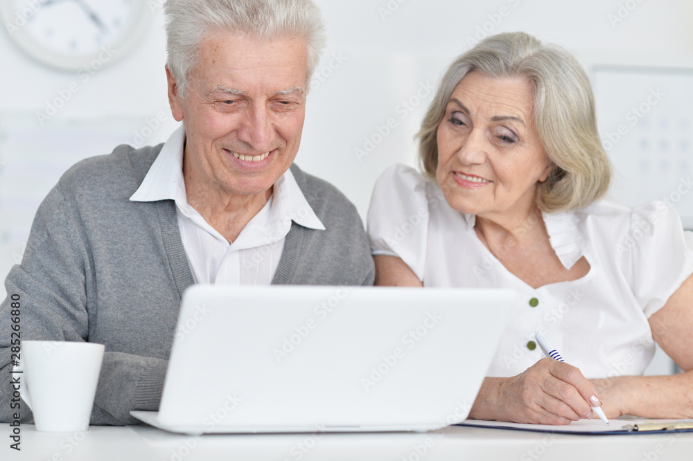 Portrait of senior people working with computer at home Portrait of senior people working with computer at home