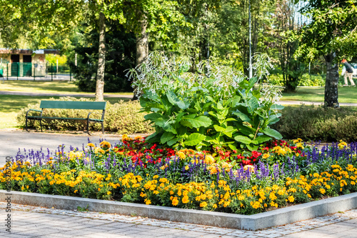 Colorful flowerbed with dahlia, begonia, salvia, marigold and sweet tobacco in the city park.