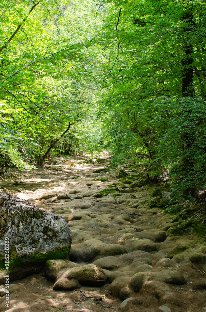 view of the beautiful mountain riverbed in the Crimea among the rocks and trees in the summer view of the beautiful mountain riverbed in the Crimea among the rocks and trees in the summer