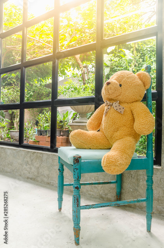 Konstfotografi Brown bear sitting on Vintage blue wood chair near checkered glass window for sitting to see garden view