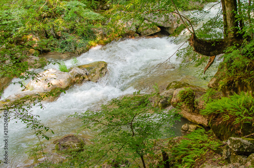 view of the beautiful mountain river in the Crimea among the rocks and trees in the summer