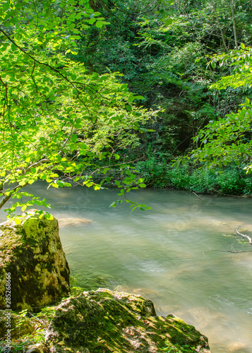 view of the beautiful mountain river in the Crimea among the rocks and trees in the summer