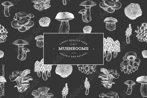 Mushrooms design template. Vector hand drawn illustrations on chalk board. Mushroom in retro style. Autumn food background.