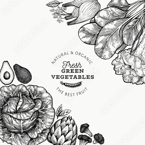 Green vegetables design template. Hand drawn vector food illustration. Engraved style vegetable frame. Retro botanical banner.