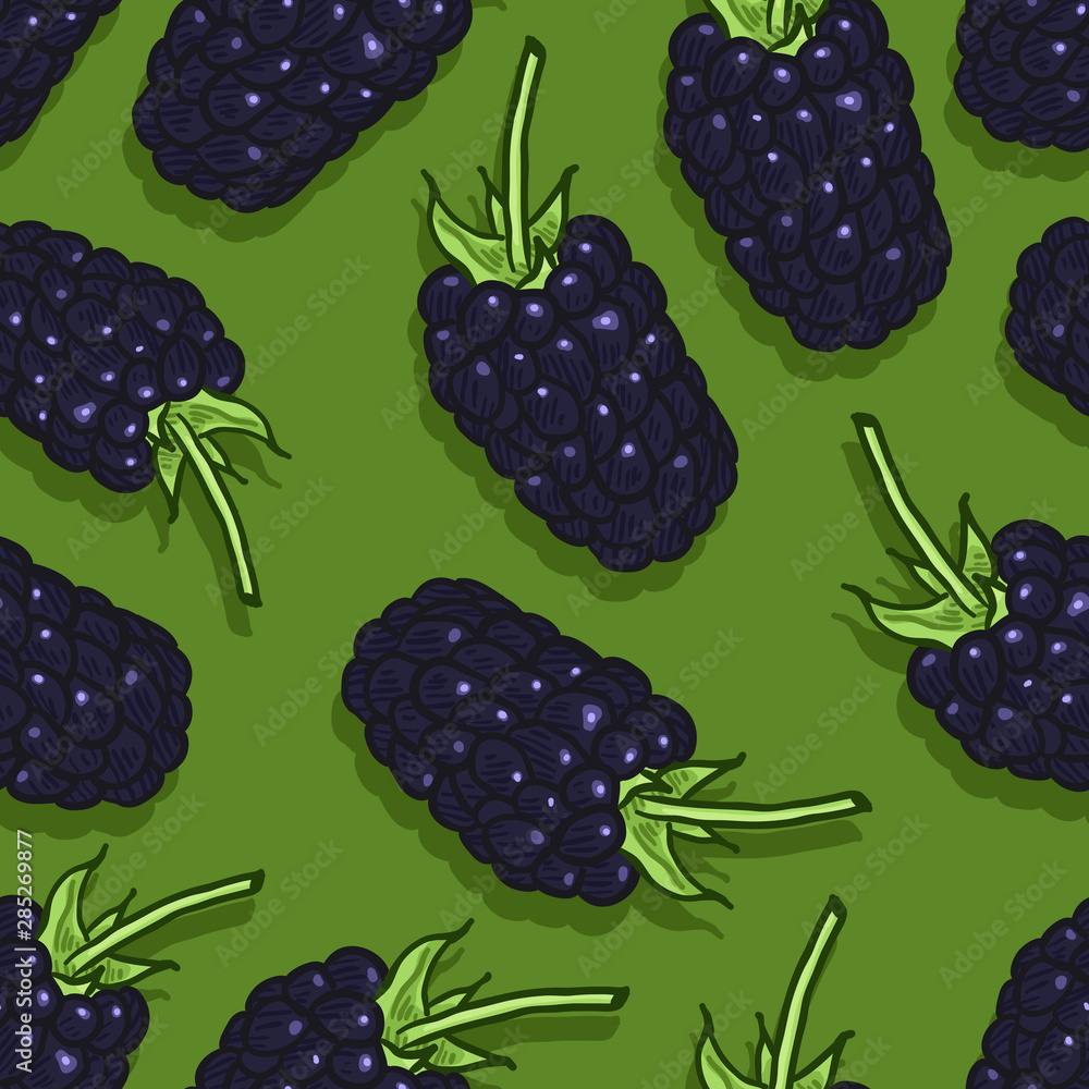 Vector Seamless Pattern of Blackberries Vector Seamless Pattern of Blackberries