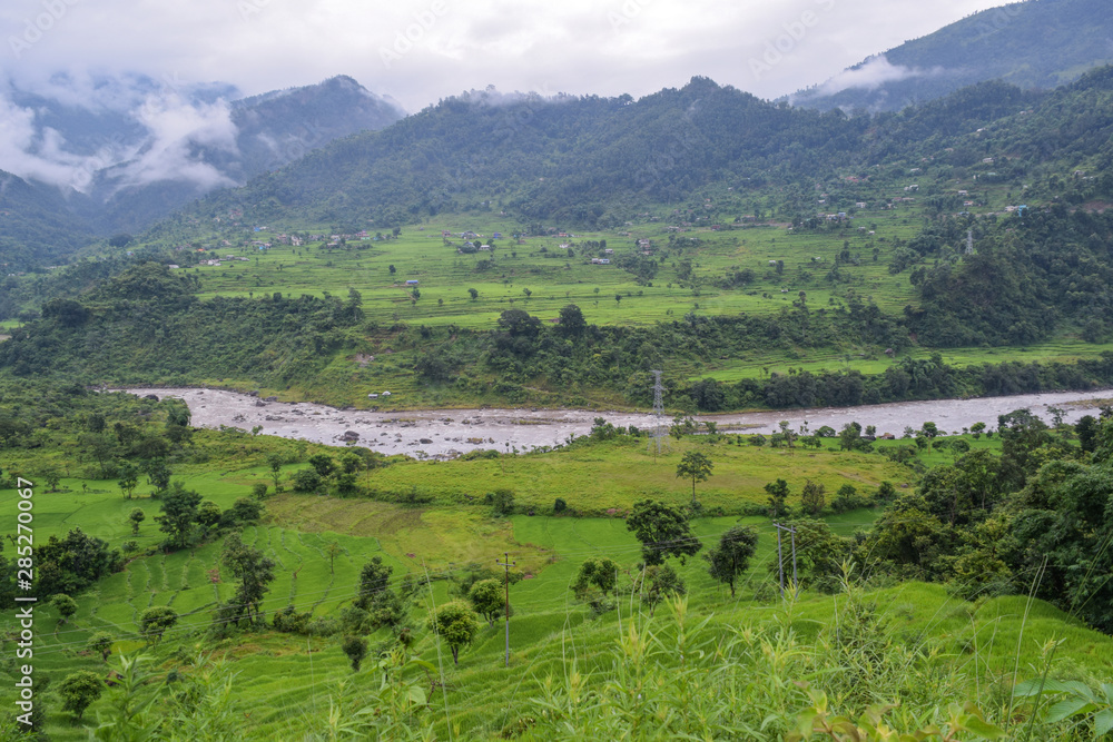 Naklejka premium Rural farmland,paddy field and the river 