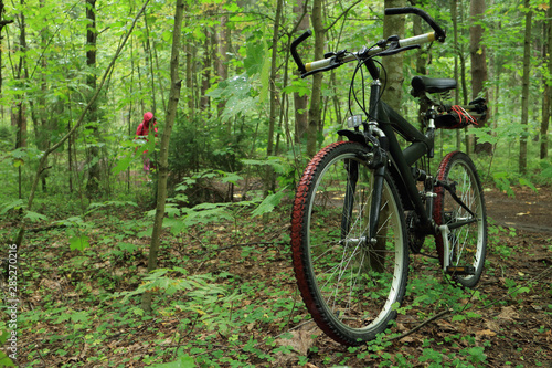 bicycle travel, green forest bike in the foreground