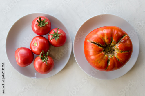 trendy of ugly vegetables. Tomatoes large size on a plate and normal tomatoes on the second plate on a light gray background. The view from the top. photo