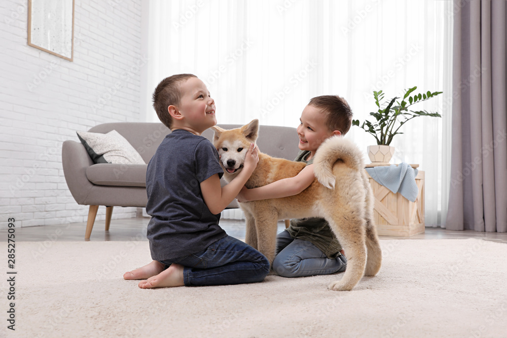 Happy boys with Akita Inu dog on floor in living room. Little friends Happy boys with Akita Inu dog on floor in living room. Little friends