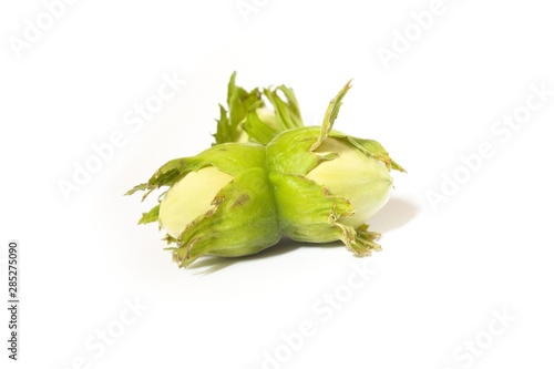 Young green hazelnuts isolated on white background. Closeup photo.