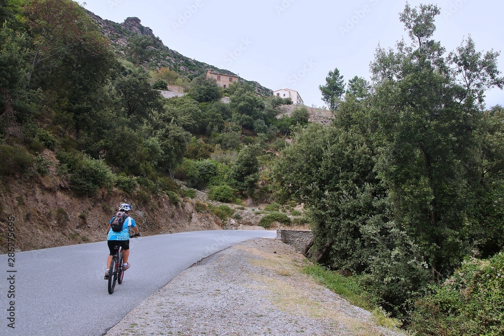 Corsica-cyclist in the village Castirla