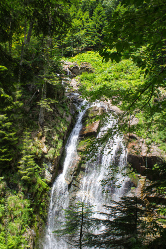 Small waterfall in the forest