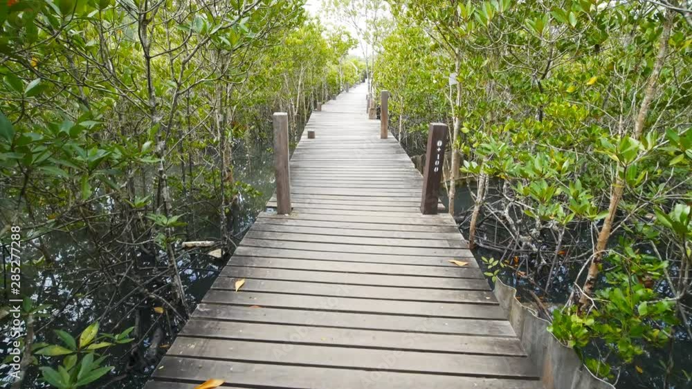 Wooden bridge at Mangroves in Tung Prong Thong or Golden Mangrove Field, Rayong province, Thailand Wooden bridge at Mangroves in Tung Prong Thong or Golden Mangrove Field, Rayong province, Thailand