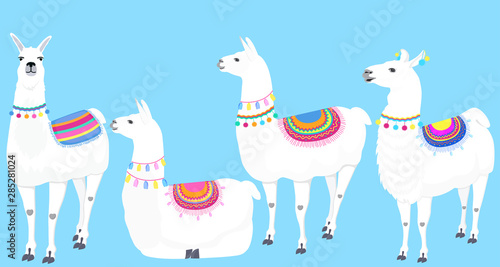 A set of llamas. Cute Guanaco . Vector illustration