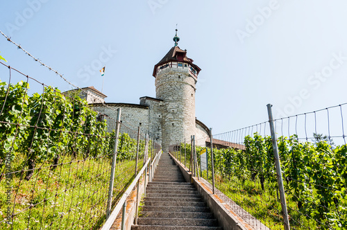 Schaffhausen  Munot  Festung  Turm  Weinberg  Altstadt  Rhein  Ostschweiz  Sommer  Schweiz