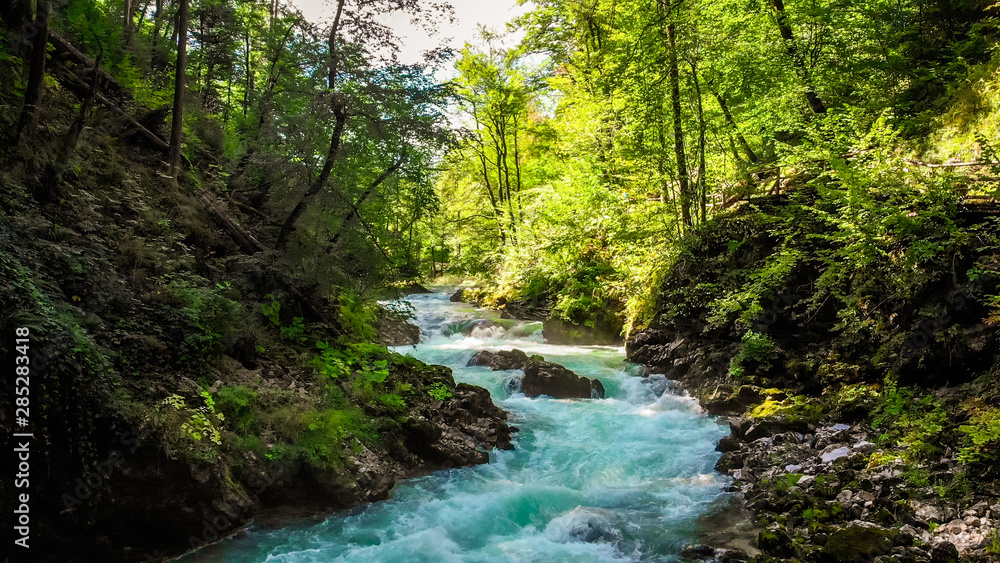 Canyon Blejski Vintgar, popular tourist destination in Triglav national park near bled lake.