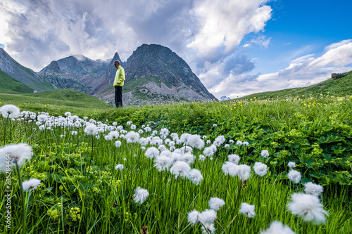 Senior hiker standing in front of some peaks in the Ecrins National park, in a meadow full of cotton grass, French Alps