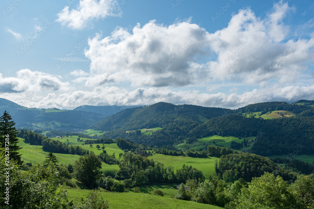 Obraz premium Die aussicht in die Natur