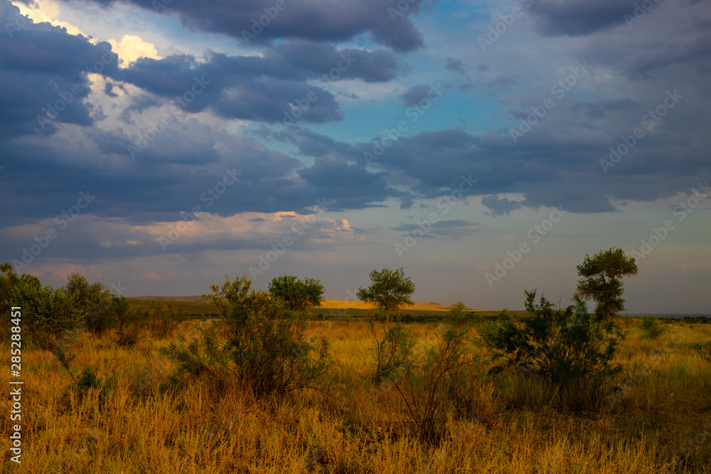 Evening in wildlife away from civilization. Bright contrasting sky. Steppe landscape in warm colors.