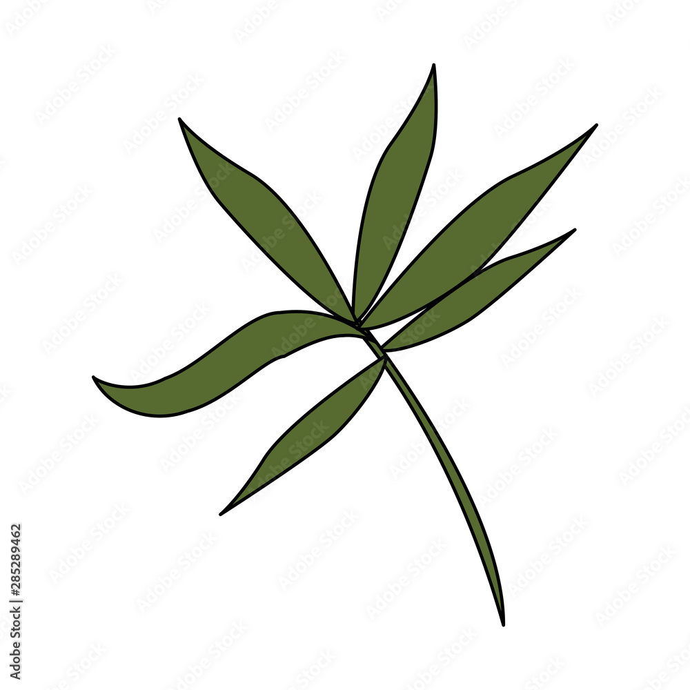 Fototapeta premium tropical floral botanical environment cartoon