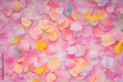 Abstract background of petals
