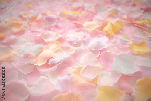 Abstract background of petals