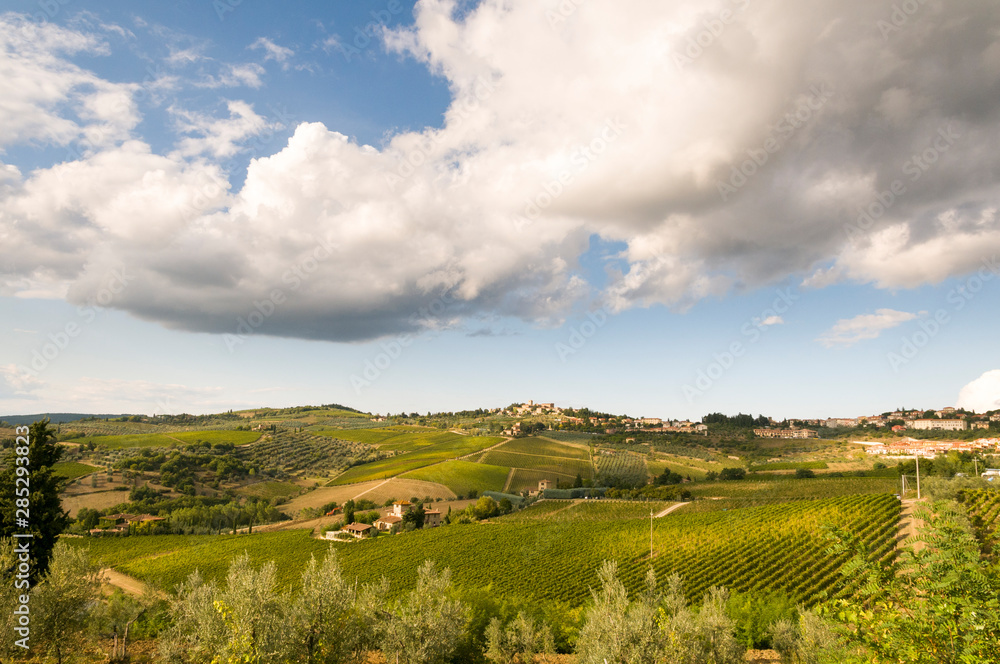 View of vast agricultural land under partly cloudy sky View of vast agricultural land under partly cloudy sky