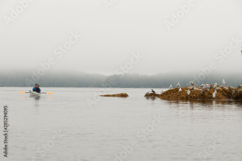 View of seagulls sitting on rock in placid waters photo