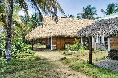 Thatched roof of wooden bungalow with palm vacation in summer sunlight.