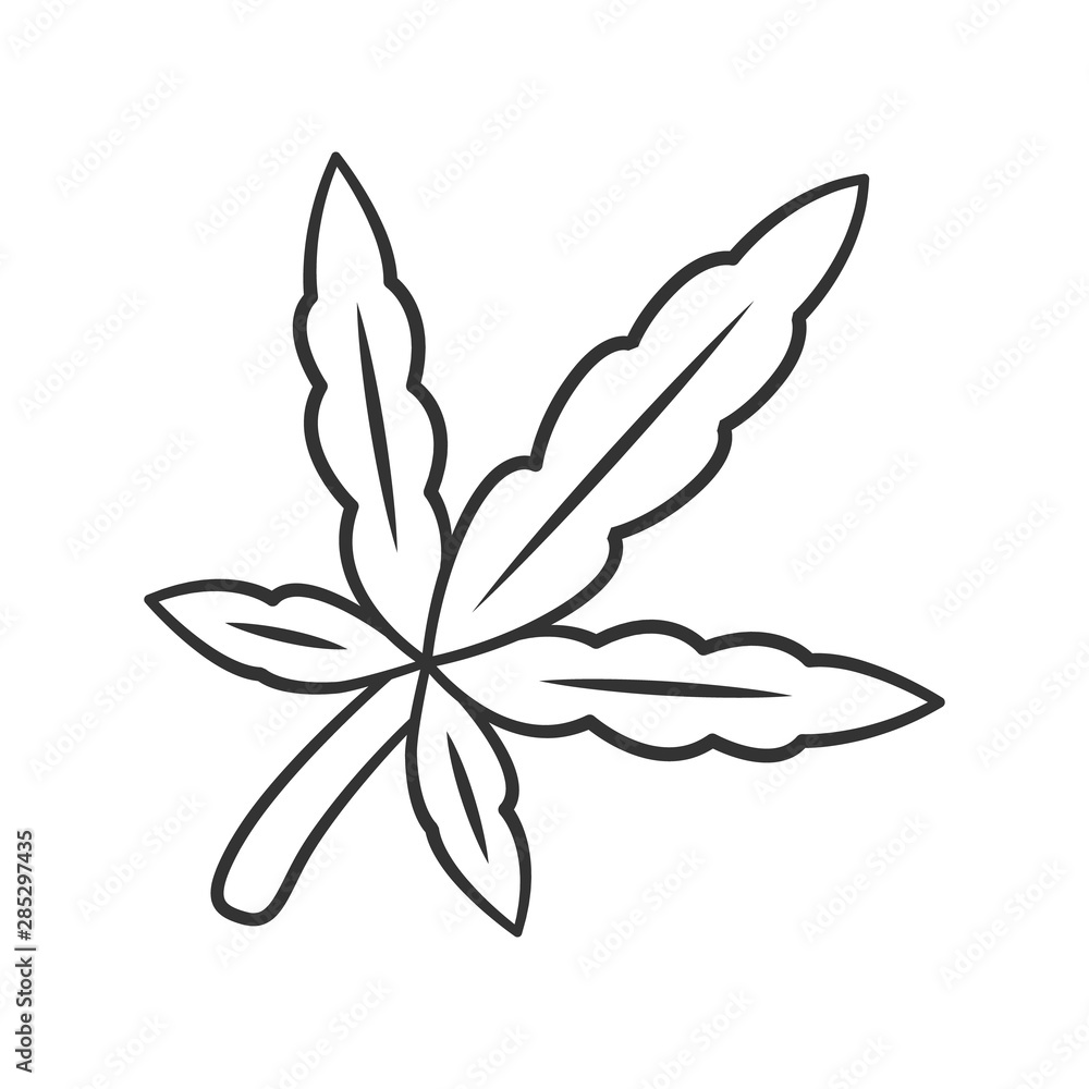 Cannabis leaf linear icon. Weed product. Ganja industry. Green branch of marijuana. Alternative medication. Thin line illustration. Contour symbol. Vector isolated outline drawing. Editable stroke Cannabis leaf linear icon. Weed product. Ganja industry. Green branch of marijuana. Alternative medication. Thin line illustration. Contour symbol. Vector isolated outline drawing. Editable stroke